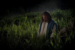 Jesus in prayer with God in Garden of Gethsemane